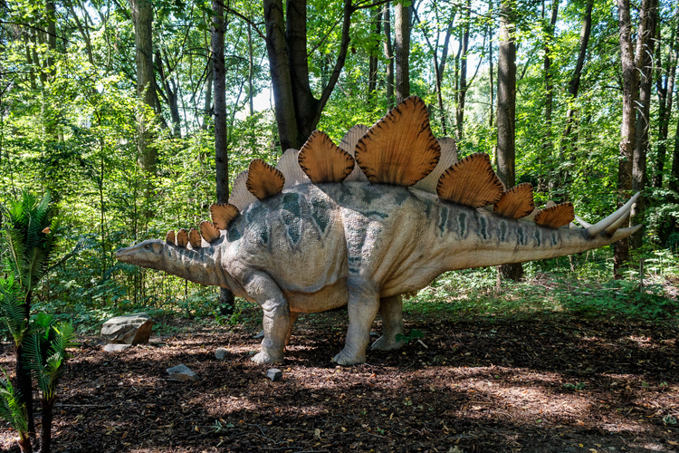 Dinosaurus jenis Stegosaurus