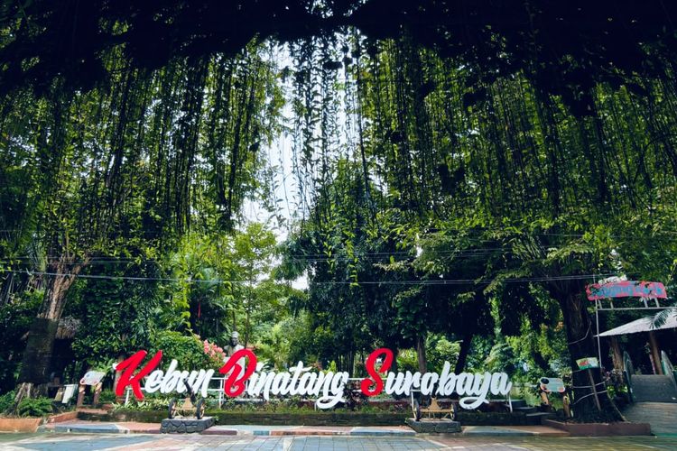 Libur Lebaran, Kebun Binatang Surabaya Hadirkan Parade Satwa hingga Reog