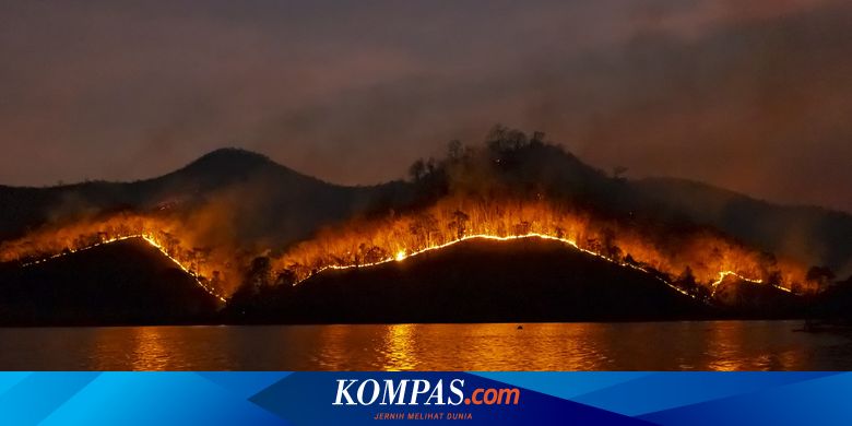 Macam-macam Penyebab Kebakaran Hutan, 90 Persen akibat Ulah Manusia - Vimarsana News