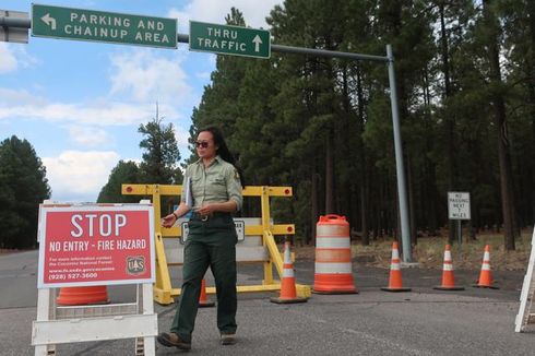 80.000 Hektar Lahan Dilalap Api, Arizona Tutup Hutan Nasional