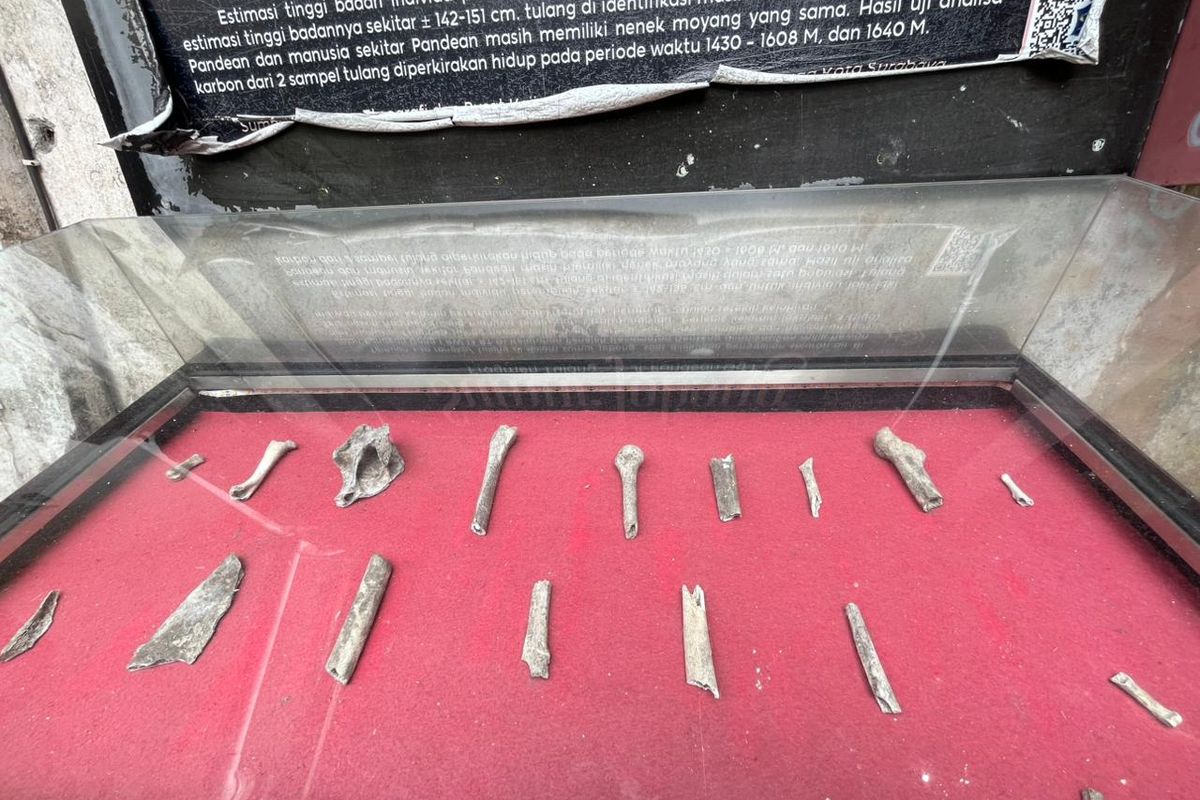 Patahan tulang belulang manusia yang ditemukan di sekitar Sumur Jobong, Surabaya.