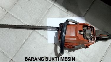 Tebang Kayu untuk Buka Kebun Sawit di Areal Perusahaan, 2 Warga Bengkalis Ditangkap