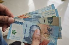 Dua Orangutan Pulang ke Taman Nasional Tanjung Puting, Menhut Tegaskan Komitmen Pelestarian Hutan