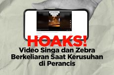 INFOGRAFIK: Hoaks! Video Singa dan Zebra Berkeliaran di Jalanan Paris, Perancis