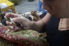 Yuk, Intip Pembuatan Batik Klasik Khas Yogyakarta   
