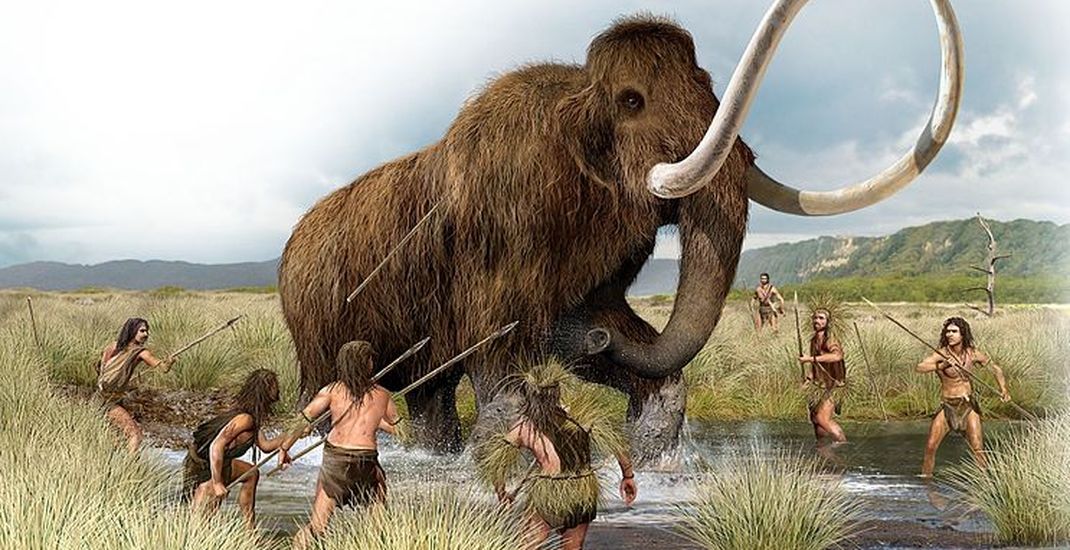 Ilustrasi perburuan mammoth oleh manusia purba.