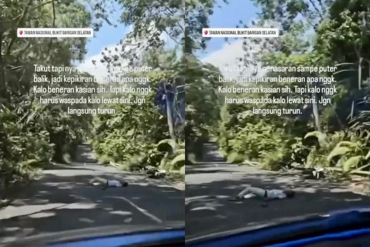 Video viral dugaan modus pembegalan di TNBBS, Lampung, yang diunggah TikTok @hayhaha68, Kamis (25/4/2024).