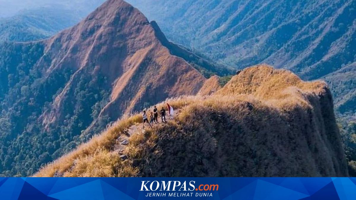 Dua Pendaki Gunung Piramid Bondowoso Ditemukan Meninggal di Jurang Punggung Naga