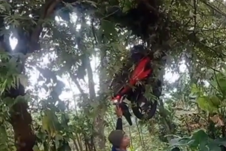 Tangkapan layar unggahan video yang memperlihatkan sepeda motor tersangkut di atas pepohonan.