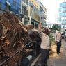 Pohon Tumbang Timpa Satu Mobil di Kebayoran Lama