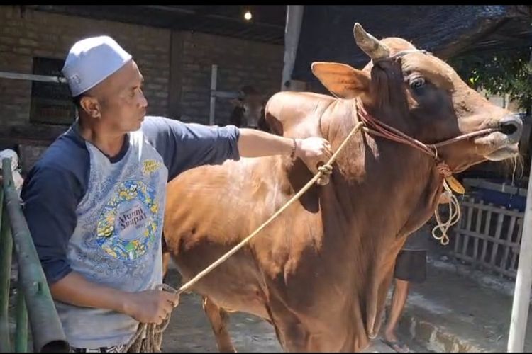 Kades Ini Ubah Cara Beternak Warga Pamekasan, Setahun Bisa 2 Kali 