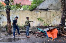 Badak Jawa Mati Usai Translokasi di Taman Nasional Ujung Kulon