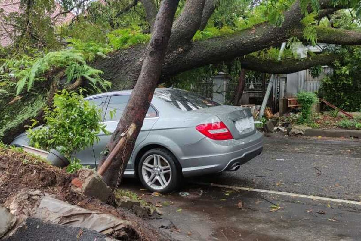 Hujan mengguyur Kota Bandung pada Rabu (5/10/2022) sekitar pukul 13.30 WIB membuat salah satu pohon besar di jalan Maulana Yusuf tumbang dan menimpa sebuah mobil mewah merek Mercedes Benz warna silver yang terparkir di pinggir jalan, tepat di bawah pohon  tersebut.