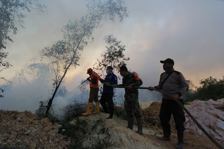Sejumlah petugas Badan Penanggulangan Bencana Daerah (BPBD), Babinsa, dan kepolisian berupaya memadamkan kebakaran hutan dan lahan dekat pemukiman warga, di kecamatan Dumai Barat, kota Dumai, Dumai, Riau, Selasa (12/2/2019). Kebakaran hutan dan lahan yang terjadi di sejumlah daerah di pesisir Riau semakin meluas akibat cuaca panas. ANTARA FOTO/Aswaddy Hamid