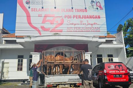 DPD PDI-P Jatim Distribusikan 403 Ekor Sapi, Said Abdullah: Upaya Bantu Pemerintah Tambah Kualitas Gizi Warga Miskin