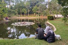 Nikmati Sore yang Sejuk di Taman Spathodea, Cocok untuk Santai 