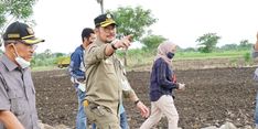 Petani di Badung Kerja Keras Atasi Serangan Hama, Mentan SYL: Saya Imbau Petani Ikut AUTP