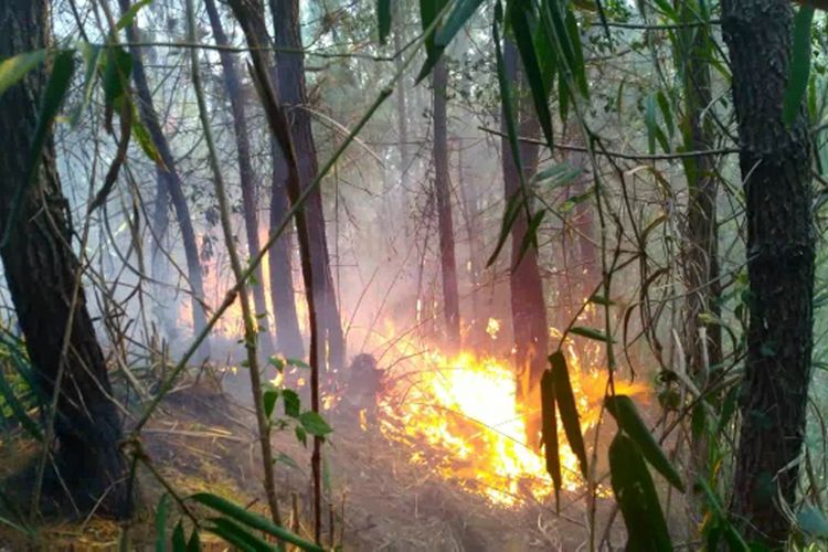 Karhutla Merembek ke Pemukiman dan Situs Budaya, Warga Mamasa Panik dan Berjaga di Perkampungan Mereka