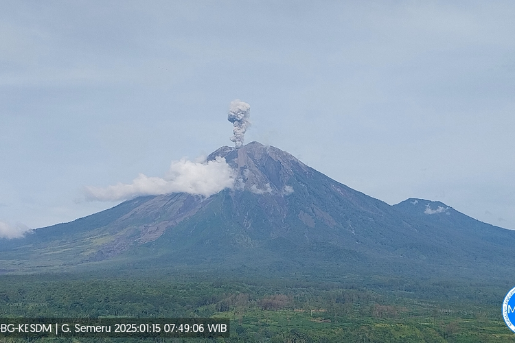 Visual erupsi Gunung Semeru berupa letusan setinggi 900 meter, Rabu (15/1/2025).