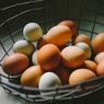 Harga Ayam Broiler dan Telur Ayam Naik, Berikut Harga Pangan Hari Ini