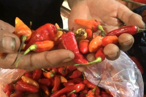 Terus Naik, Harga Cabai Rawit Merah Tembus 120.000/Kg