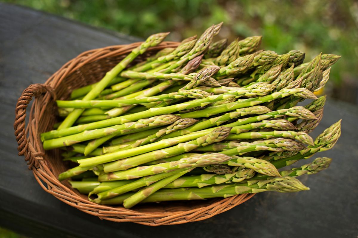 Ilustrasi asparagus