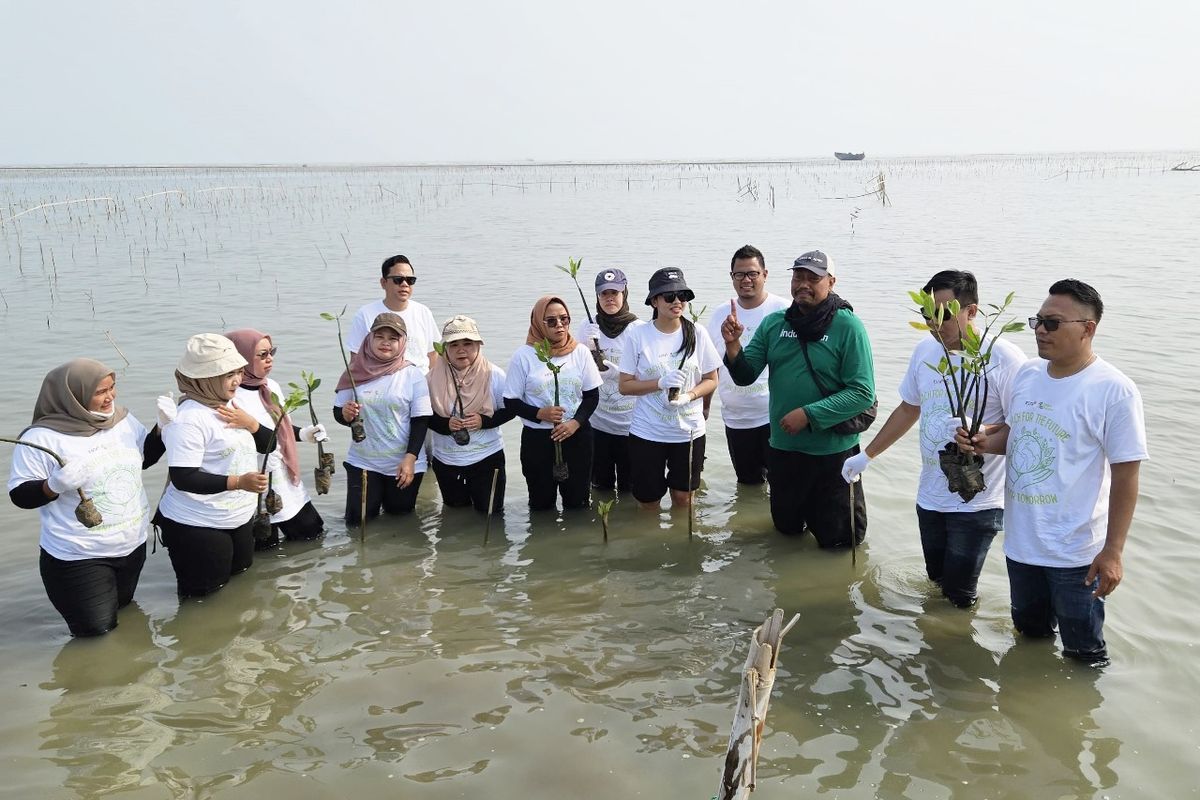Esta Dana Ventura melakukan penanaman 5.001 pohon bakau di Pantai Tiris, Desa Pabean Ilir, Kabupaten Indramayu, Jawa Barat.

