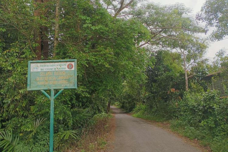 Hutan Lindung Campaga, salah satu daya tarik Desa Wisata Campaga di Sulawesi Selatan. Desa ini masih peringkat 50 besar Anugerah Desa Wisata Indonesia (ADWI) 2022.