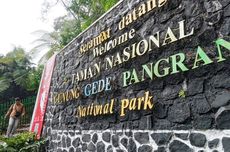 Penggunaan "Drone" di Gunung Gede Pangrango Dikenakan Tarif Rp 2 Juta Per Hari