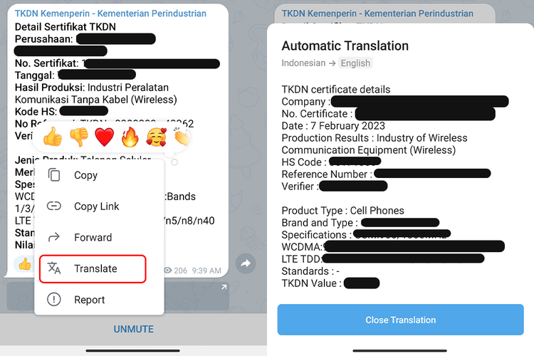 Tampilan pesan yang sudah diterjemahkan menggunakan fitur translate Telegram (/Caroline Saskia Tanoto)