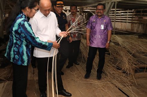 Menkop UKM Datangi Sentra Bahan Baku Rotan di Banjarmasin untuk Atasi Masalah Pasokan