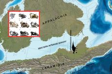 BERITA FOTO: Natal di Pengungsian