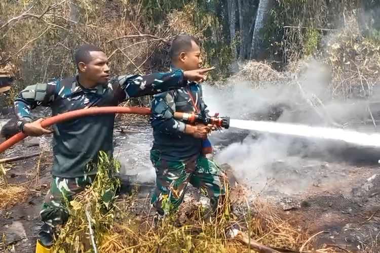 Karhutla di Papua Barat, TNI Bantu Padamkan Api di Manokwari, Polisi Bagikan Masker di Fakfak