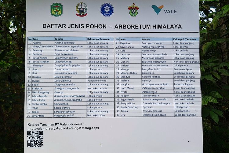 Daftar jenis pohon di Arboretum Himalaya Hill menunjukkan koleksi flora lokal dan endemik hasil reklamasi PT Vale Indonesia bersama lembaga riset dan pemerintah.