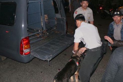 Anjing Pelacak Temukan Bercak Darah di Dekat Lokasi Penembakan Pondok Aren