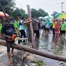 Anggota TNI Tewas Tertimpa Pohon Tumbang di Situbondo