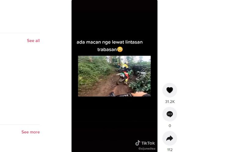 Sekumpulan off roader bertemu dengan hewan buas, yang diduga sebagai harimau.