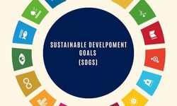 RI Sampaikan 3 Strategi Capai SDGs di Forum Internasional