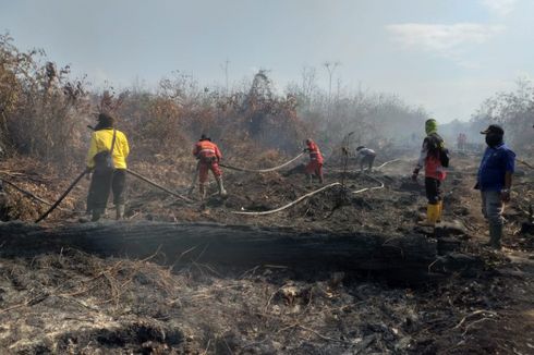 Ribuan Hektar Lahan Gambut Terbakar, Kabut Asap Dikhawatirkan ke Malaysia