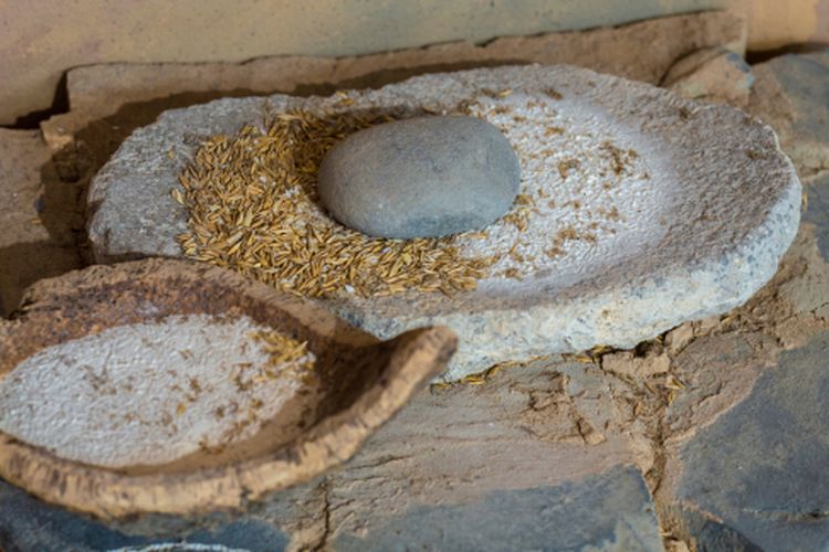 Masyarakat Prasejarah  Kebudayaan Bacson Hoabinh