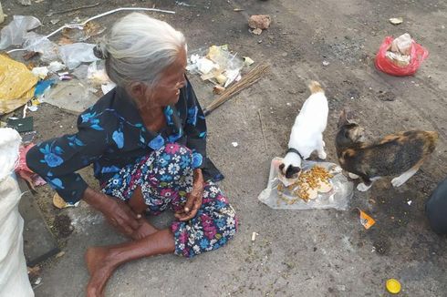Kisah Mbah Sriah 30 Tahun Hidup di Gubuk Terpal, Berbagi Makan dengan Kucing-kucing