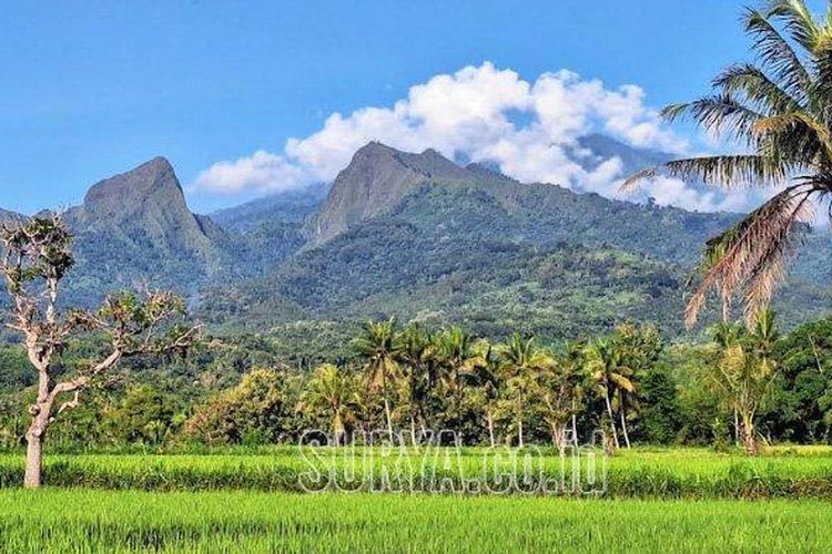 Gunung Saeng dari Desa Sumberwaru, Kecamatan Binakal, Bondowoso pada Jumat (2/5/2025). Seorang pelajar Jember yang mendaki Gunung Saeng Bondowoso jatuh dan masih dalam pencarian sejak Kamis (1/5/2025). 
