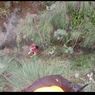 Hilang 2 Hari di Kawasan Bromo dan Sempat Kirim Pesan Minta Bantuan, Roni Ditemukan Lemas