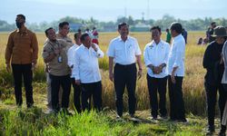 Tingkatkan Produksi Pertanian, Kementan Siap Dampingi Petani Sulsel Dapatkan Akses KUR