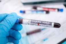 10 Gejala Virus Marburg yang Mirip DBD dan Mematikan