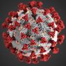 Kasus Virus Corona Capai 11 Juta Kasus di Seluruh Dunia, Begini Pola Peningkatannya...