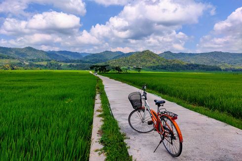 Panduan Lengkap ke Pronosutan View, Sawah Instagramable di Yogyakarta