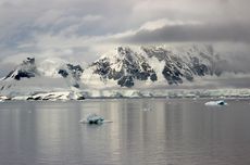 Benua Antartika: Wilayah, Iklim, Flora, Fauna, dan Bentang Alamnya