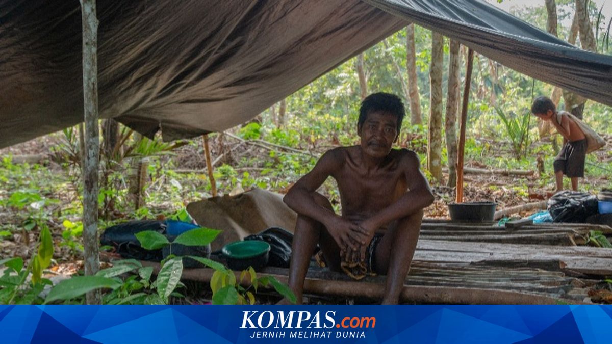 10 Larangan bagi Orang Luar Saat Masuk Wilayah Orang Rimba, Dilarang ...