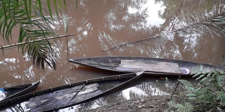 Ada Serangan Buaya Warga Desa Simangalam Resah Saat Mencari Ikan Halaman All Kompas Com